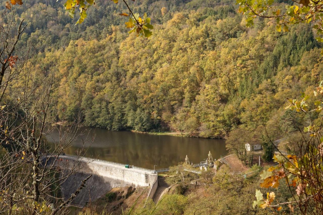 Gite De Sauviat 25 Chemin Du Grand Pacher Le Bourg De Sauviat 63120 Exterior foto